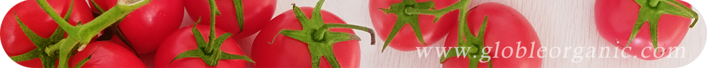 全球有機(jī)網(wǎng)，有機(jī)食品，有機(jī)信息