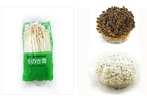【推薦】韓國(guó)食用菇和干菇...