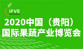 2020中國(guó)（貴陽(yáng)）國(guó)際...